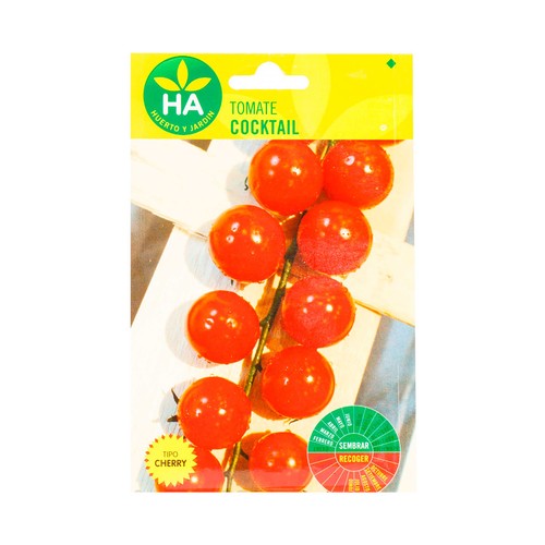 Tomate cocktail tipo cherry