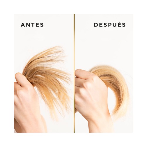PANTENE Pro-v miracles Champú hidratación y brillo para cabellos secos y dañados 250 ml.