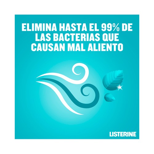 LISTERINE Enjuague bucal diario, con sabor mentol 2 x 1 l.