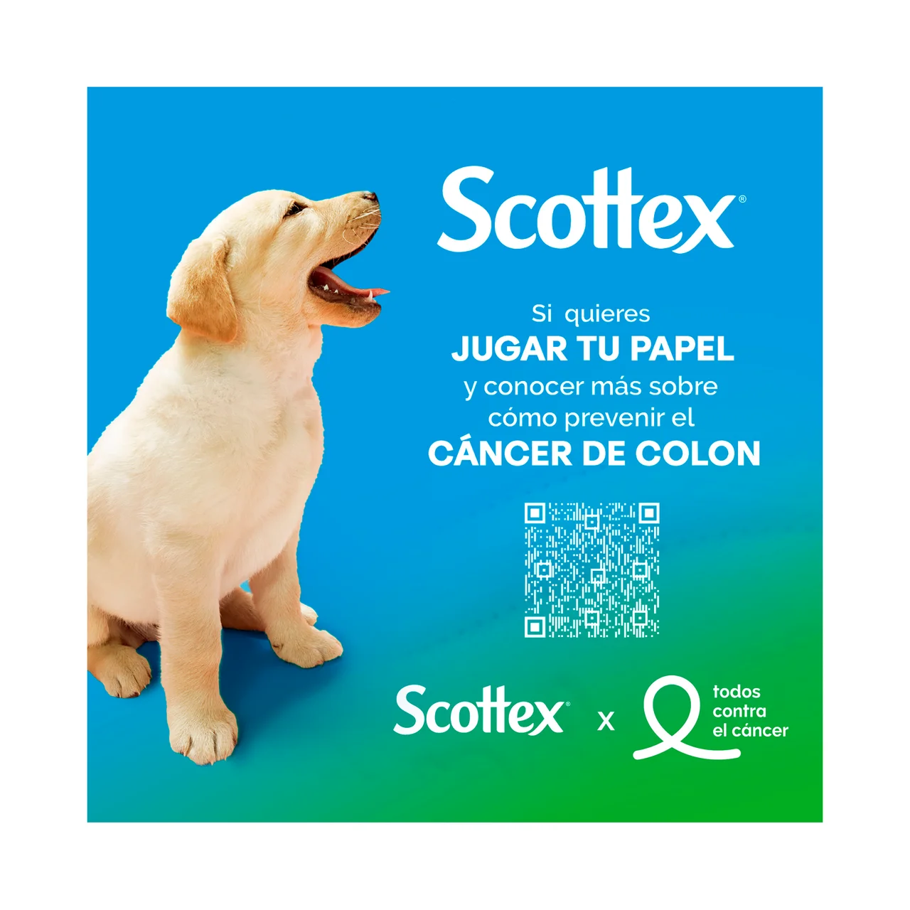 Megarollo Papel higiénico que dura dos veces más y tiene textura Onda suave 16 rollos.