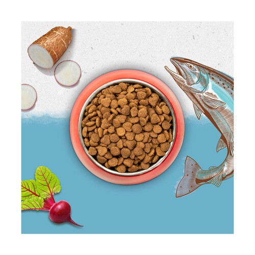 Comida para gatos seca, sabor salmón BEYOND GRAIN FREE 1,2 kg.