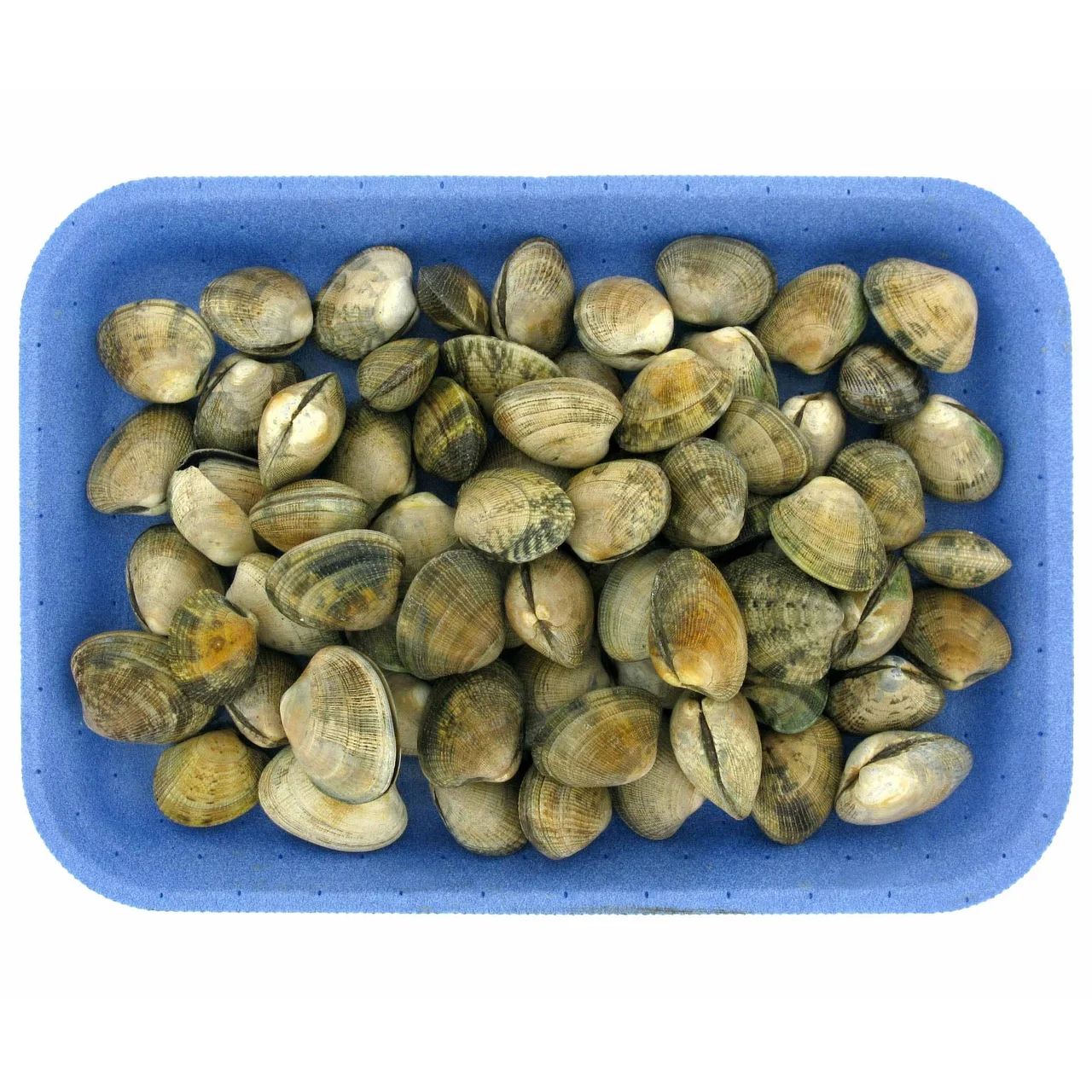 Almeja japónica 80/110 malla 500 gr