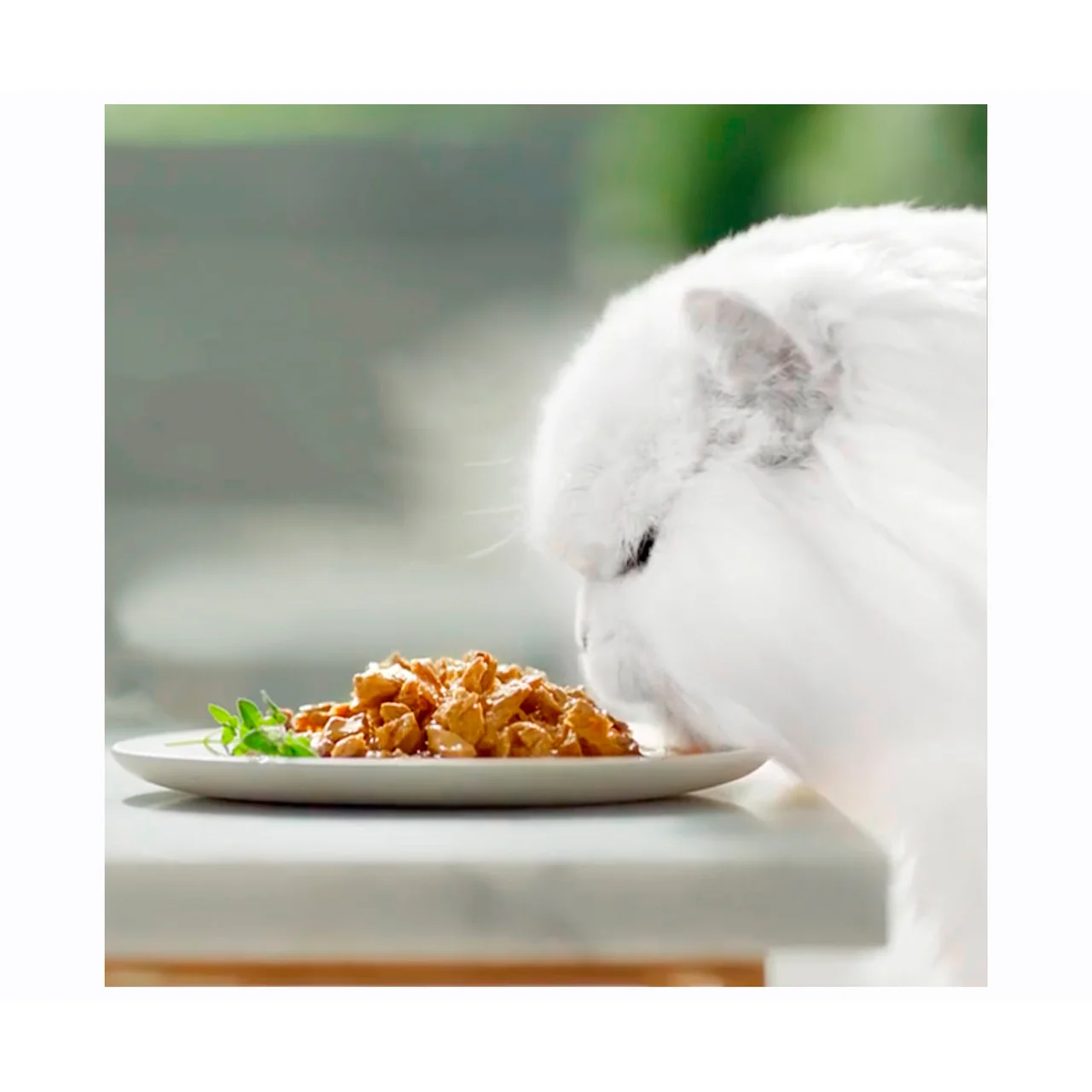 Comida para gatos adultos a base de verduras 4 uds. 85 g