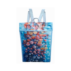 Productos Congelados Bolsa/mochila Térmica