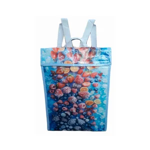 PRODUCTOS CONGELADOS Bolsa/mochila térmica