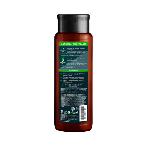 NATUR VITAL Champú anticaspa con extractos de mentol y lima bio, para cabellos grasos NATUR VITAL 300 ml.