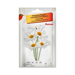 Sobre de semillas para plantar margaritas de la variedad Leucanthemum de tamaño gigante y color blanco PRODUCTO ALCAMPO.