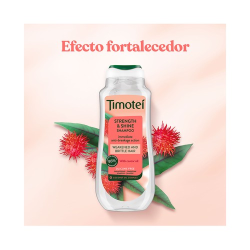 TIMOTEI Champú fuerza y brillo con coco y ricino, sin siliconas 300 ml.