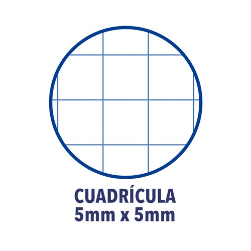 Pack De 10 Cuadernos Cuadriculados 12º Con Espiral Superior 12 X 8,5 Cm. Libretas Apuntes, Blocs