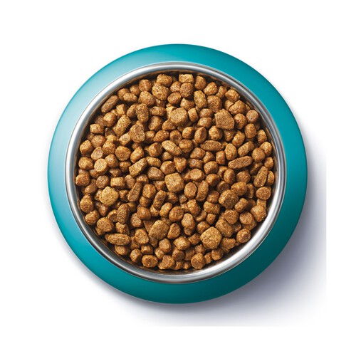 PURINA ONE Pienso para gatos completo junior rico en pollo PURINA ONE 1,5 kg.