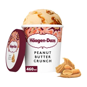 HÄAGEN-DAZS Tarrina de helado de crema crujiente de cacahuete 460 ml.