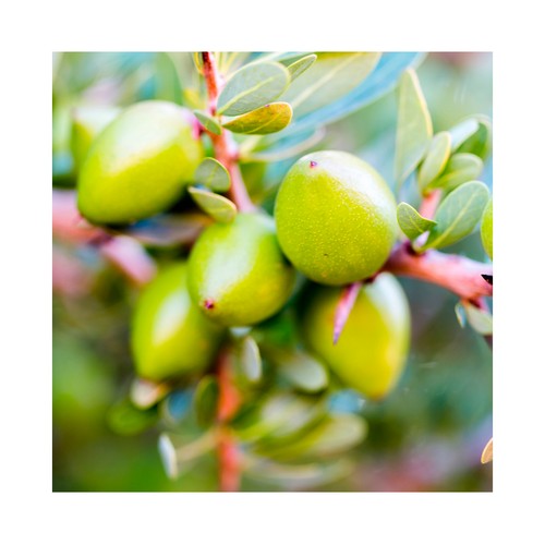 OGX Mascarilla capilar hidratante y extra fortificante, con aceite de argán de Marruecos 300 ml.