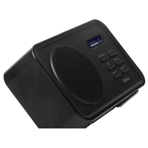 Radio portátil por batería QILIVE Q1117 FM/AM, 12 horas de autonomía.