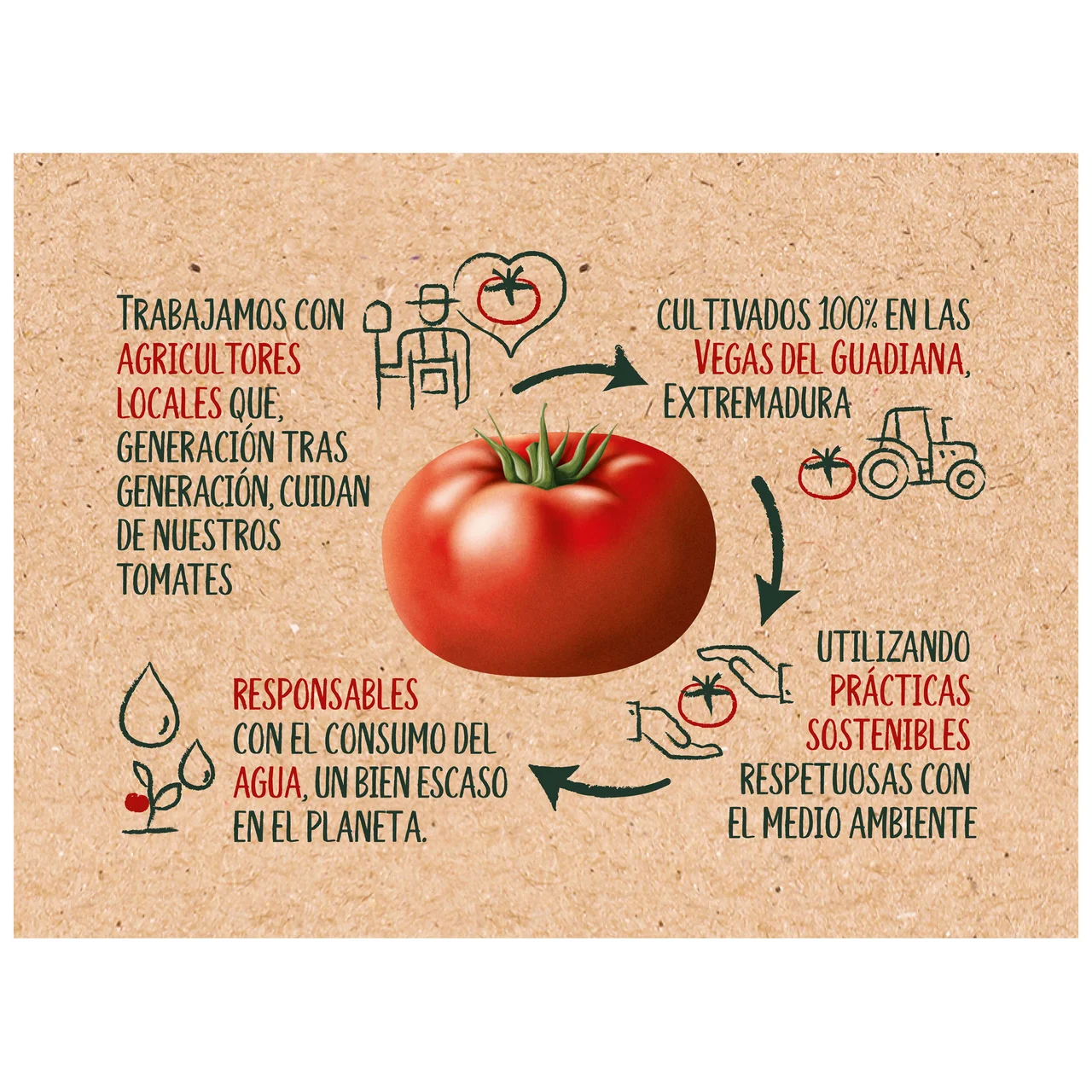 Tomate frito estilo casero en lata, pack de 3 uds x 100 g..