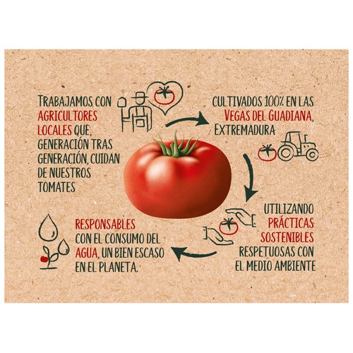 SOLÍS Tomate frito estilo casero en lata, pack de 3 uds x 100 g..