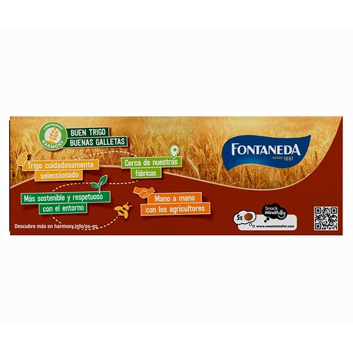 FONTANEDA Digestive Galletas finas de chocolate con leche 170 g.