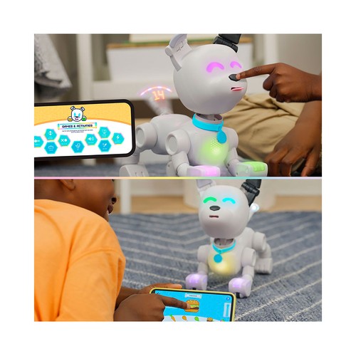 Dog E, el perro robot único entre un millón +6 Años, BIZAK