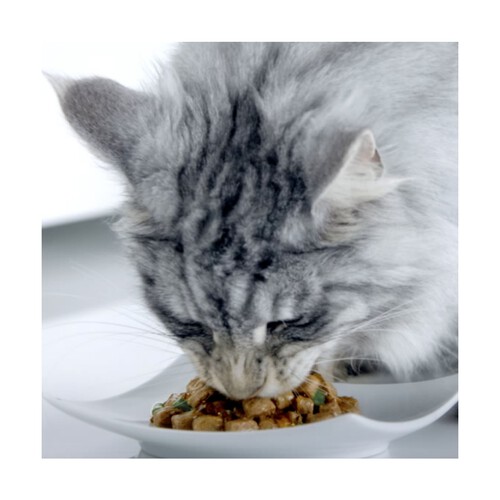 PURINA ONE Comida para gatos adultos a base de salsa de pollo y judías verdes PURINA ONE 4 uds. x 85 g.