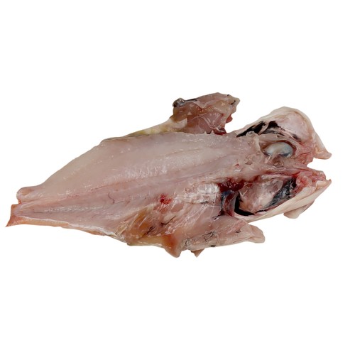 Gallineta mostrador - Filetes