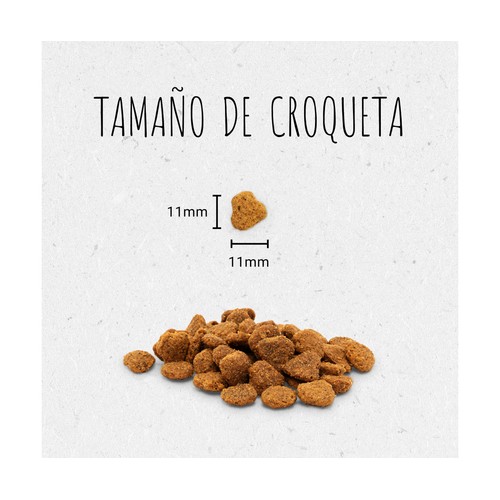 Comida para gatos seca, pollo GRAIN FREE 1, 2 kg.