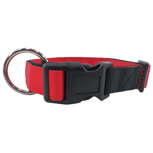 PRODUCTO ALCAMPO Collar de perro (2.5 cm.) rojo, para perros L 40 - 60 cm.