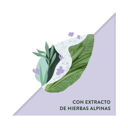TIMOTEI Champú con extracto de hierbas alpinas, para cabello normales o débiles y apagados TIMOTEI Fresco y fuerte 400 ml.