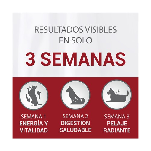 PURINA ONE Comida para perros especial dental de raza pequeña a base de pollo PURINA ONE MINI 800 g.
