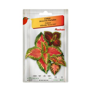 Sobre de semillas para plantar coleus de la variedad Arco iris de colores variados PRODUCTO ALCAMPO.