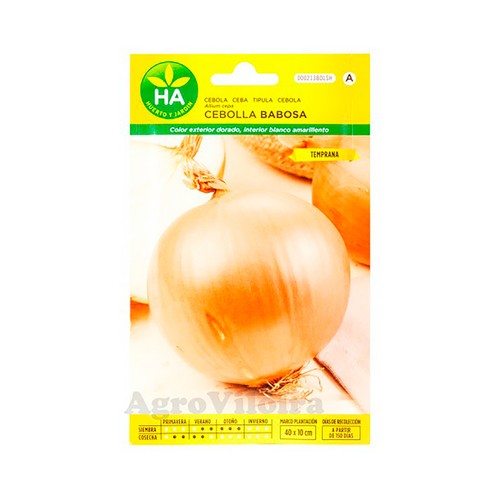 Semillas Cebolla babosa, HA HUERTO Y JARDÍN.