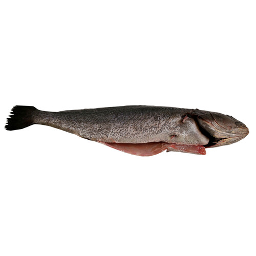 Corvina mostrador