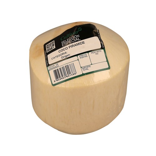 Coco de agua