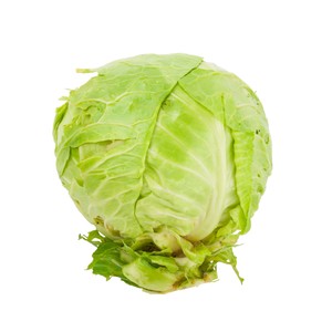 Repollo 1875 G