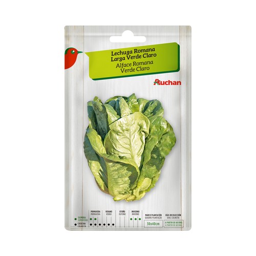Sobre de semillas para sembrar lechugas de la variedad Romana de hoja larga de color verde claro PRODUCTO ALCAMPO