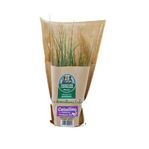 Cebollino ecológico  ALCAMPO PRODUCCIÓN CONTROLADA ECOLÓGICO maceta.
