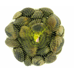 Almejas japónicas 40/60 malla 500 g.