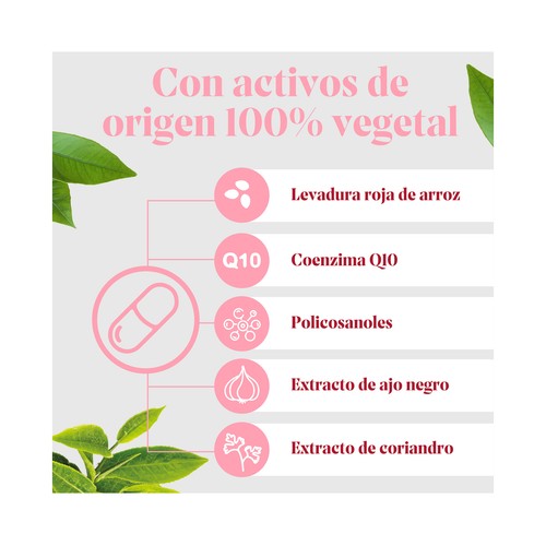ARKOPHARMA Arkosterol plus Complemento alimenticio que ayuda a la salud cardiovascular y a reducir el colesterol 30 uds.