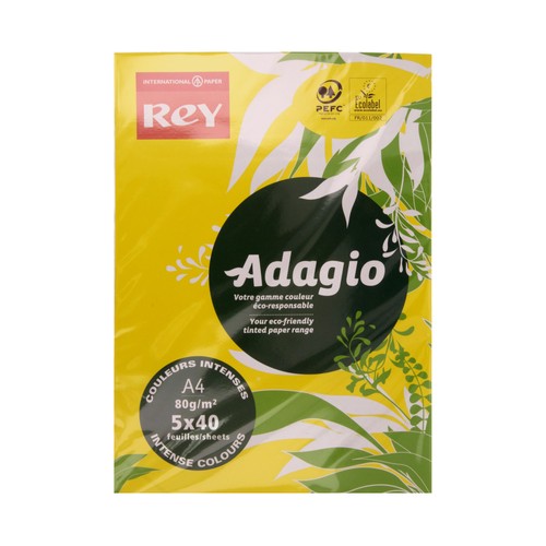 Paquete de 200 hojas de papel de 5 colores diferentes en tonos intensos tamaño DIN A4 de 80g REY.