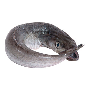 Imagen de Merluza volanta mostrador.-FILETES