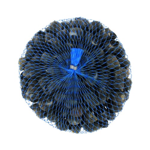 Bígaro 200/300 500 g.