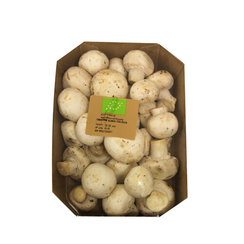Champiñón blanco ecológico ALCAMPO PRODUCCIÓN CONTROLADA ECOLÓGICO 250 g.