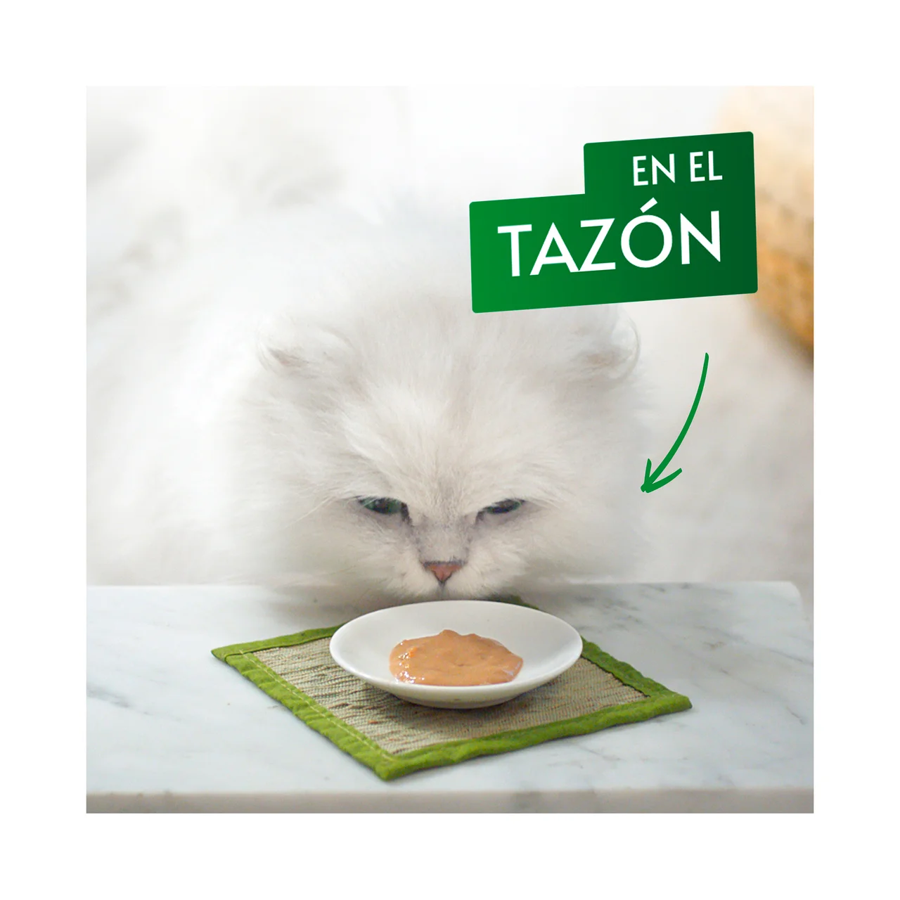Snack gatos con pollo 5 x 10 g.
