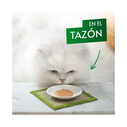 PURINA GOURMET Snack gatos con pollo 5 x 10 g.