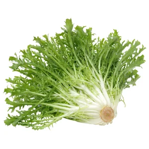 Escarola HORTALIZA Barqueta