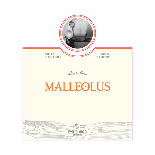 MALLEOLUS  Vino tinto crianza con D.O. Ribera del Duero botella de 75 cl.