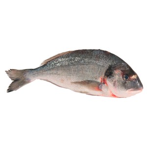 Dorada Mostrador. - Entera 450 G
