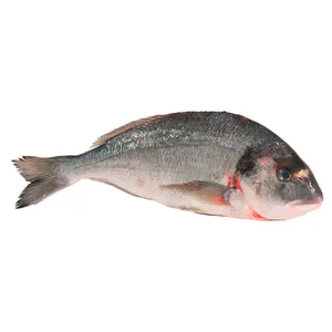 Dorada mostrador. - Entera