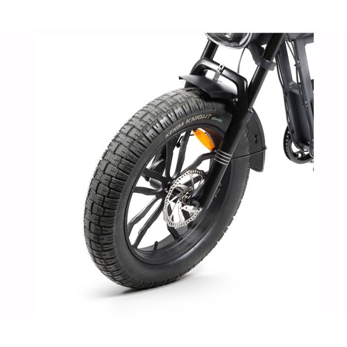 Bicicleta eléctrica E-Bike YOUIN Las Vegas, 250W, ruedas 20"", autonomía 40Km..