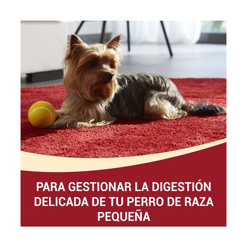 PURINA ONE Comida para perros adultos de raza pequeña a base de salmón y arroz PURINA ONE MINI 1,5 kilo.