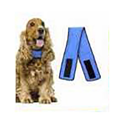 CANES JOB Collar refrescante para perro 45 x 7 cm.