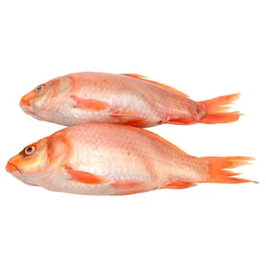 Salmonete limpio